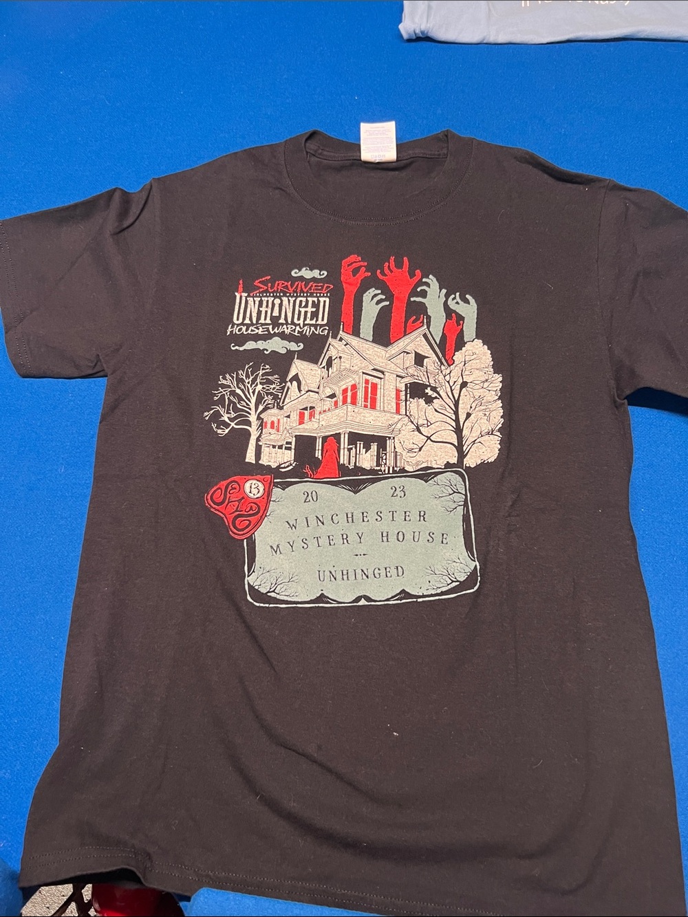Winchester Mystery House Unhinged Graphic Tee - Black
